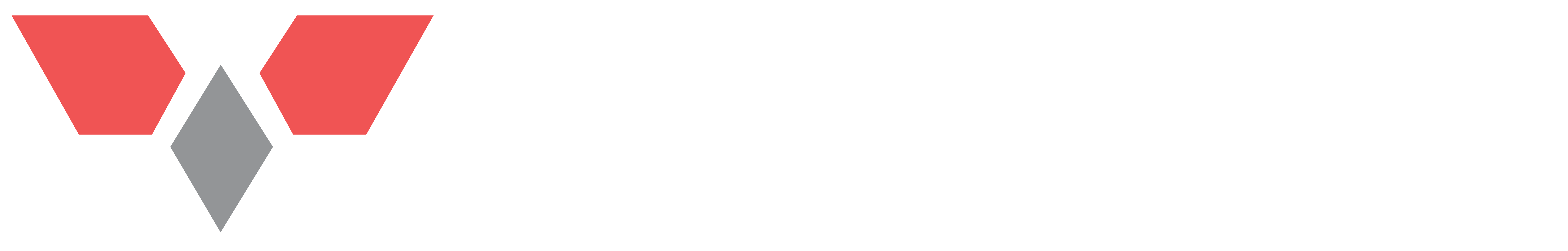 Real Vision Logo